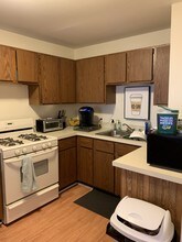 2015 N Fremont St, Unit 1 in Chicago, IL - Building Photo - Building Photo