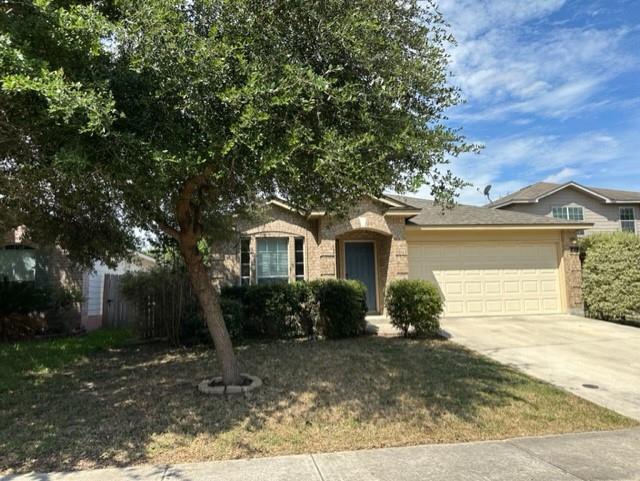 property at 221 Roadrunner Ave