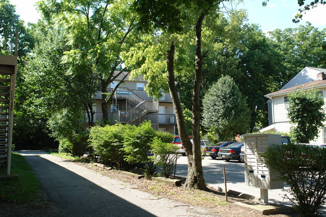 318 Rose St in Lexington, KY - Foto de edificio - Building Photo