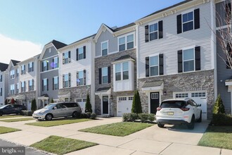 24 Hamilton Ct in Pennsauken, NJ - Foto de edificio - Building Photo