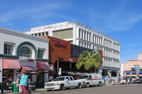 Muse in La Jolla, CA - Foto de edificio - Building Photo