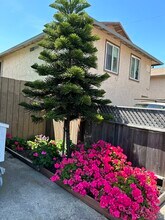 149 Marina Way, Unit D in Richmond, CA - Building Photo - Building Photo