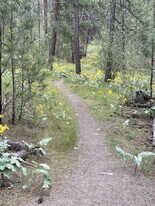 4925 S Kip Ln in Spokane, WA - Building Photo