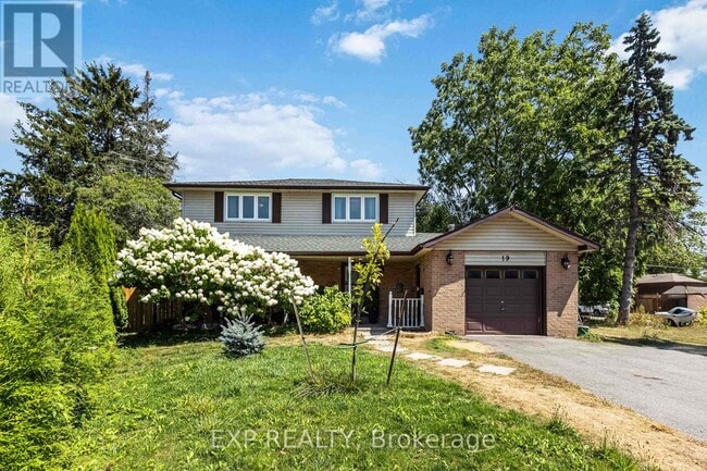 property at 19 Preston Ct