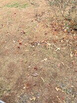 1002 Drinking Swamp Rd in Farnham, VA - Building Photo