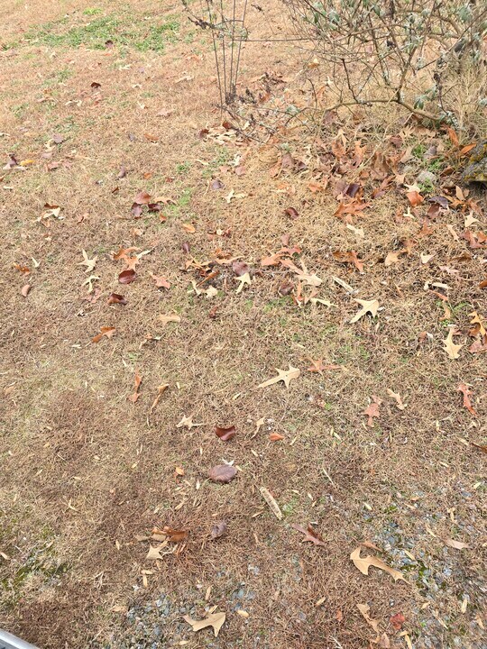 1002 Drinking Swamp Rd in Farnham, VA - Foto de edificio