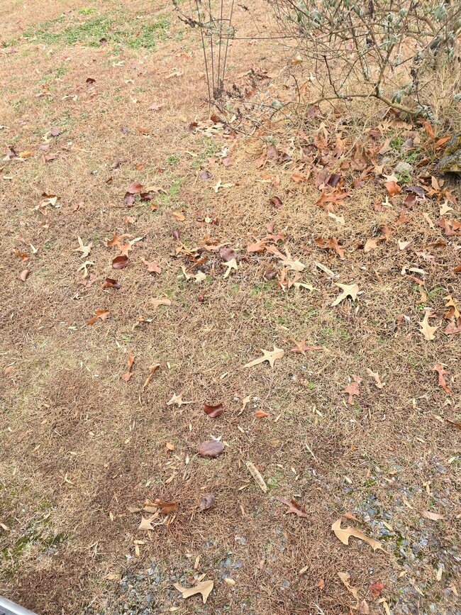 property at 1002 Drinking Swamp Rd