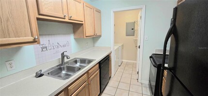 13373 Arbor Pointe Cir in Tampa, FL - Building Photo - Building Photo