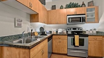 Bolero in Phoenix, AZ - Building Photo