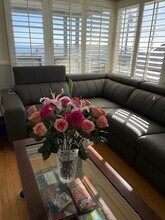 277 Diamond St in Laguna Beach, CA - Building Photo - Building Photo
