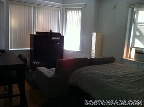 175 Hemenway St, Unit 9 in Boston, MA - Building Photo - Building Photo