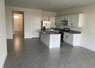 32228 Turtle Grace Lp in Wesley Chapel, FL - Building Photo - Building Photo