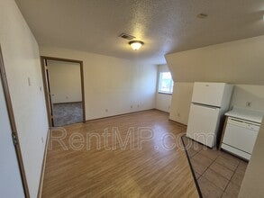 1021 S Mission St in Mt. Pleasant, MI - Building Photo - Building Photo