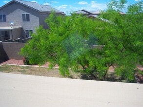 1300 E Saguaro Trail in Queen Creek, AZ - Building Photo - Building Photo