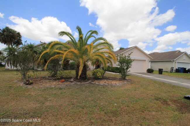 556 Bernardo Ave NE in Palm Bay, FL - Building Photo - Building Photo