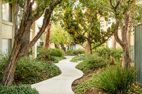 Village Pointe - Village Pointe Apartments in Los Angeles, California