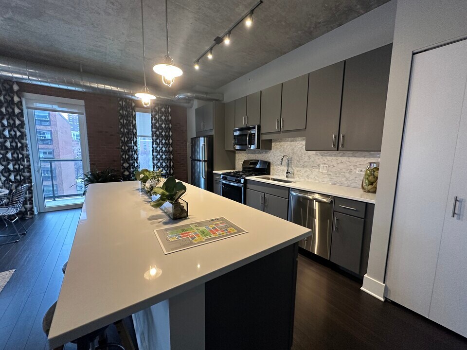 610 S Dearborn St in Chicago, IL - Building Photo