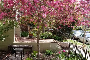 1745 Kilbourne Pl NW, Unit 2 in Washington, DC - Building Photo