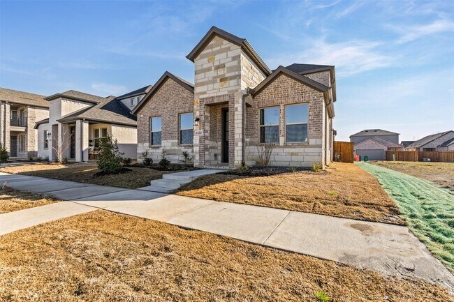 1232 Hyssop Dr in Celina, TX - Building Photo - Building Photo
