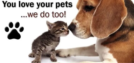 5107 S Clarice Ct in Tampa, FL - Foto de edificio - Building Photo