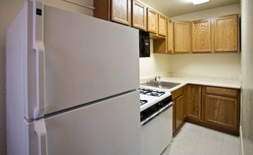 The Brady Apartments in Des Moines, IA - Building Photo - Building Photo