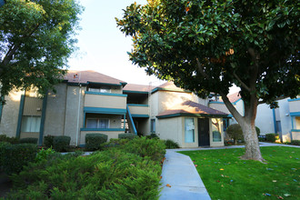 Taylor Pointe North in Bakersfield, CA - Building Photo - Building Photo