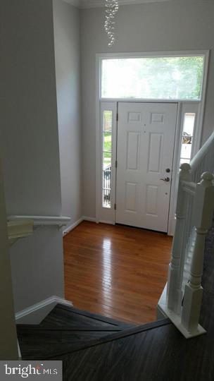 4709 Caronia Way in Fairfax, VA - Building Photo - Building Photo