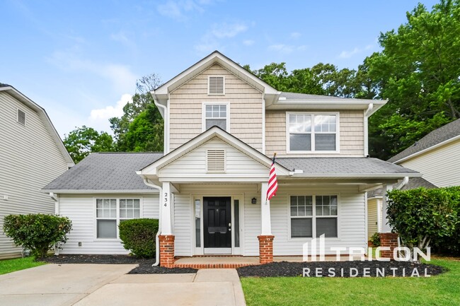 234 Amir Cir