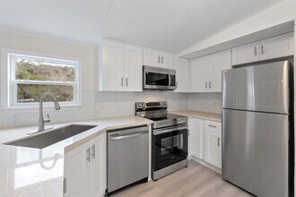 10507 Tarantula Ct in Leander, TX - Building Photo - Building Photo