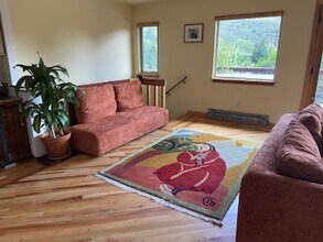 34 Lewis Mountain Ln in Durango, CO - Building Photo - Building Photo