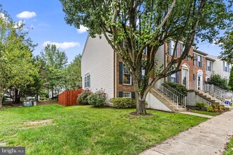 6377 Michael Robert Dr in Springfield, VA - Building Photo - Building Photo