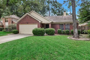 6 Green Slope Pl in Spring, TX - Building Photo