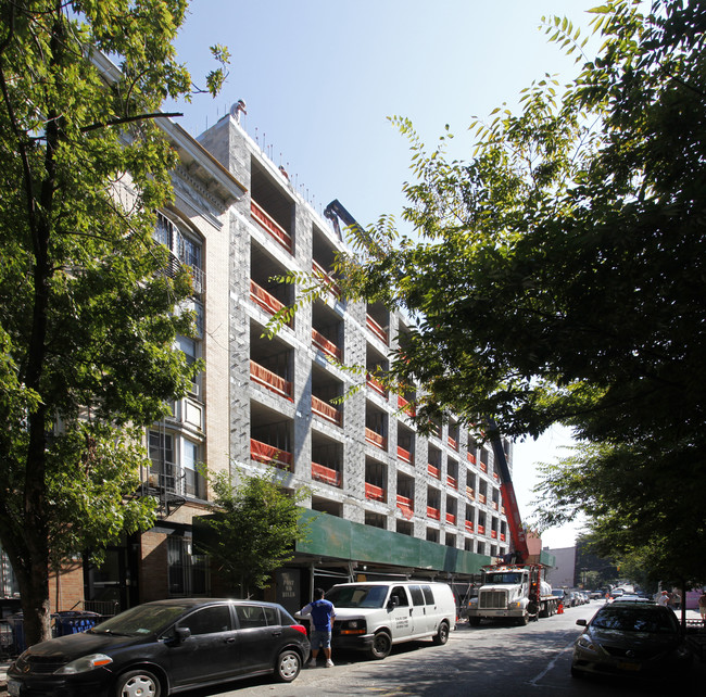 267 Pacific in Brooklyn, NY - Building Photo - Building Photo