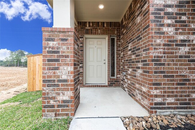 913 Oak Mist Ln in Magnolia, TX - Building Photo - Building Photo