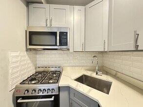 503 W Belmont Ave, Unit J08W in Chicago, IL - Building Photo - Building Photo