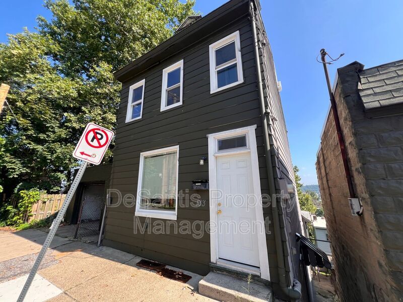 133 Pius St in Pittsburgh, PA - Building Photo