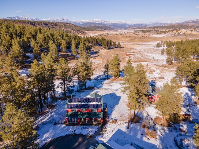 215 Night Hawk Ct in Pagosa Springs, CO - Building Photo - Building Photo