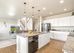 5217 Alberta Falls St in Timnath, CO - Building Photo - Building Photo
