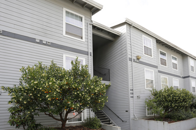 Cameron Court Apartments in Gresham, OR - Building Photo - Building Photo