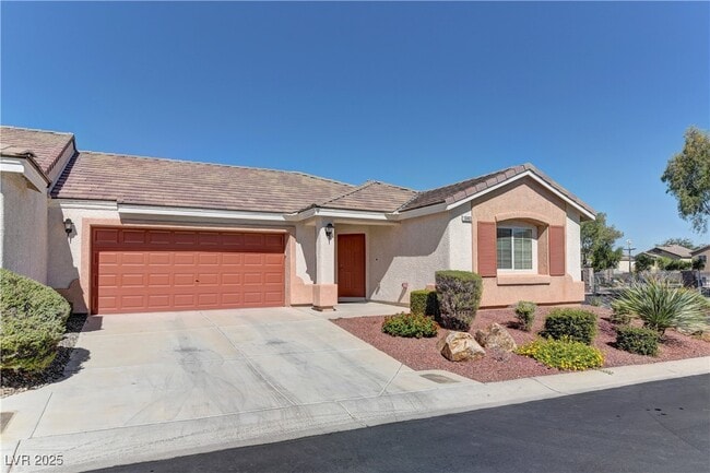 property at 10403 Madagascar Palm St