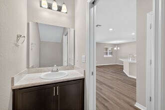 11772 Pink Plumeria Ct in Riverview, FL - Building Photo - Building Photo