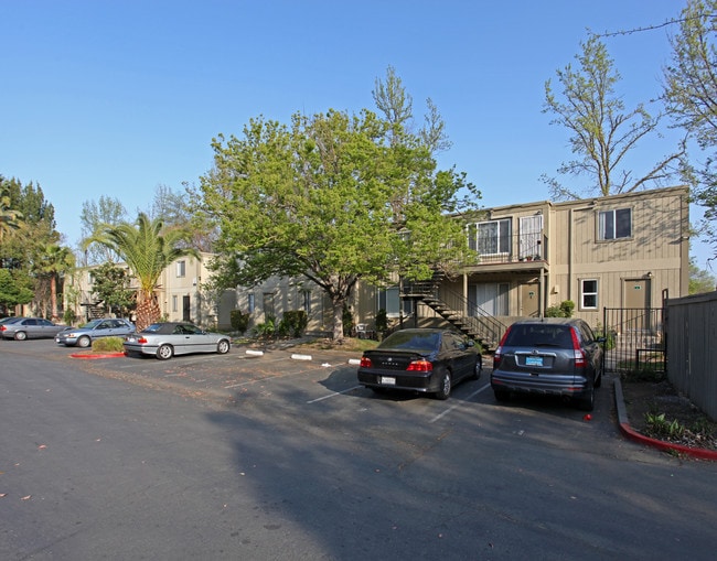 Sunrise Meadows Apartments in Rancho Cordova, CA - Building Photo - Building Photo