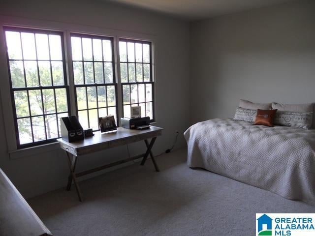 302 Barristers Ct in Birmingham, AL - Building Photo - Building Photo