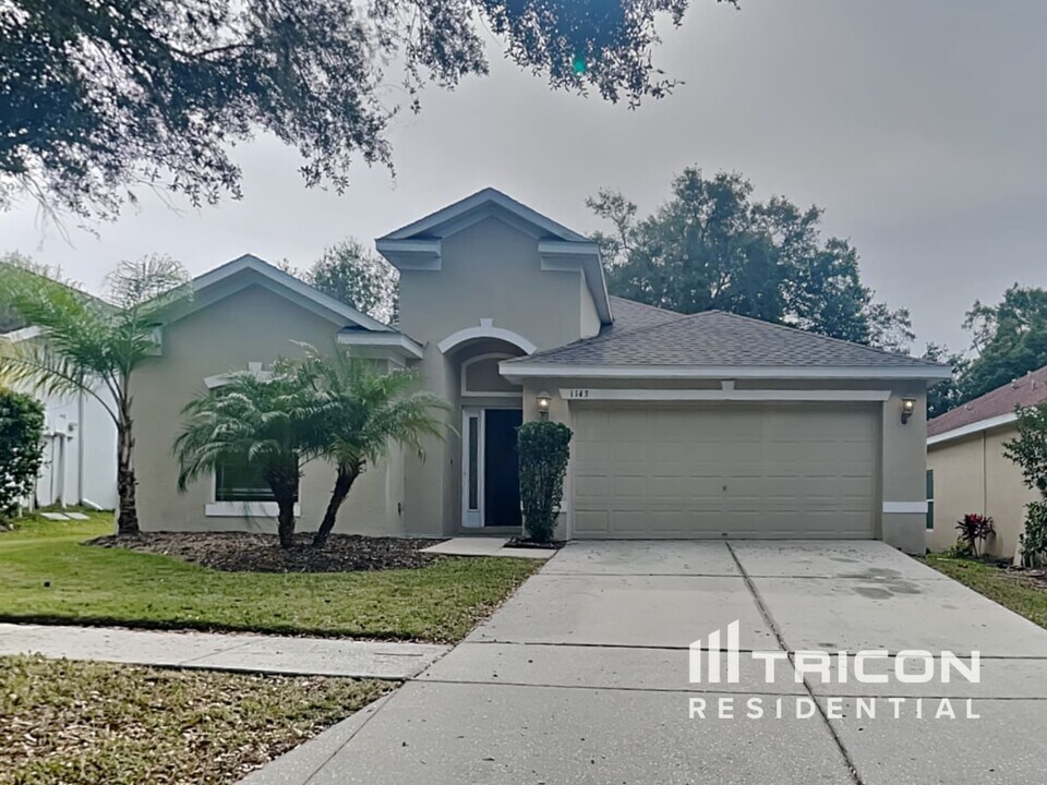 1143 Emerald Hill Way in Valrico, FL - Building Photo