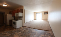 Southview Apartments in Minot, ND - Building Photo - Building Photo