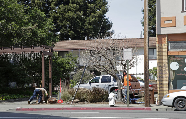 5493 Claremont Ave in Oakland, CA - Building Photo - Building Photo