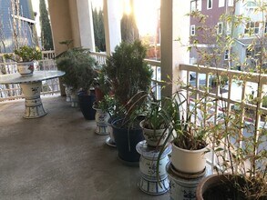 939 Phelan Ave in San Jose, CA - Building Photo - Building Photo