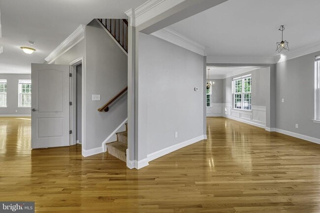 40560 Aldie Springs Dr in Aldie, VA - Building Photo - Building Photo