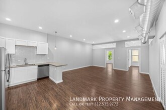 1848 S Blue Island Ave in Chicago, IL - Building Photo - Building Photo