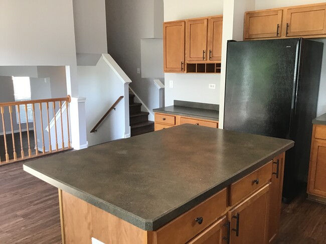1559 Parkside Dr in Bolingbrook, IL - Building Photo - Building Photo